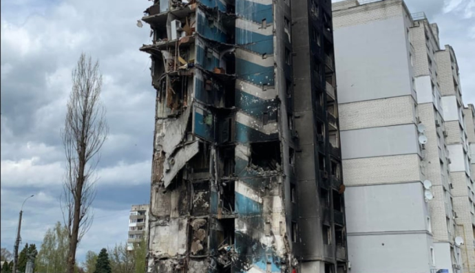 Кіт у зруйнованому будинку