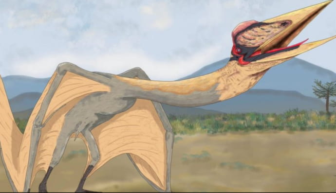 В Аргентине раскопали гигантского "дракона смерти"