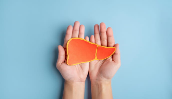 человеческая печень