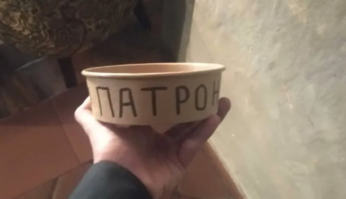 на olx продают миску, из которой пил пес-сапер Патрон