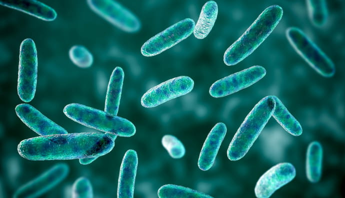 інфекція, кишкова інфекція, вірус