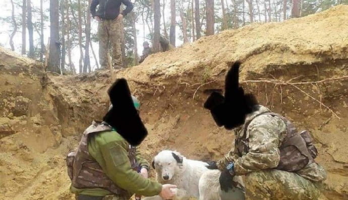 Бім і військові