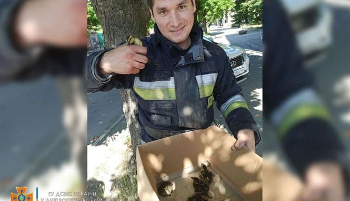 Порятунок каченят