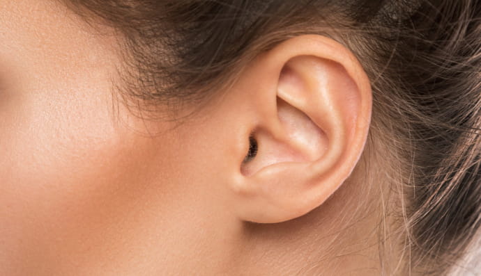 Людська голова