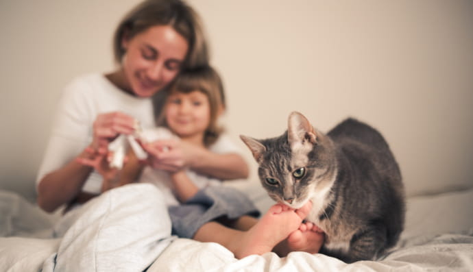 Кішка біля господарів