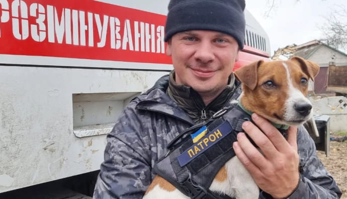 Дмитрий Комаров