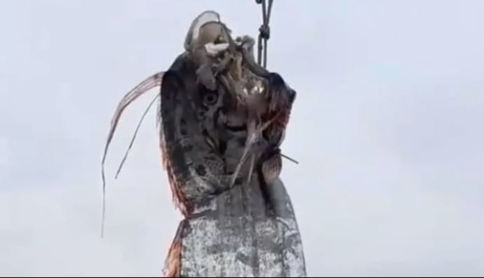 в Чили рыбаки поймали 5-метровую сельдь