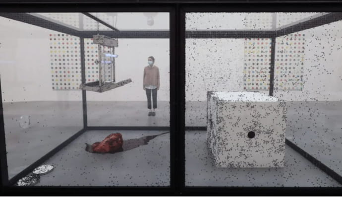 У музеї Німеччини демонтували знамениту конструкцію через те, що вона порушували права мух 