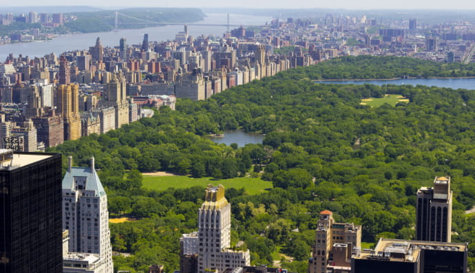 Центральний парк Нью-Йорку