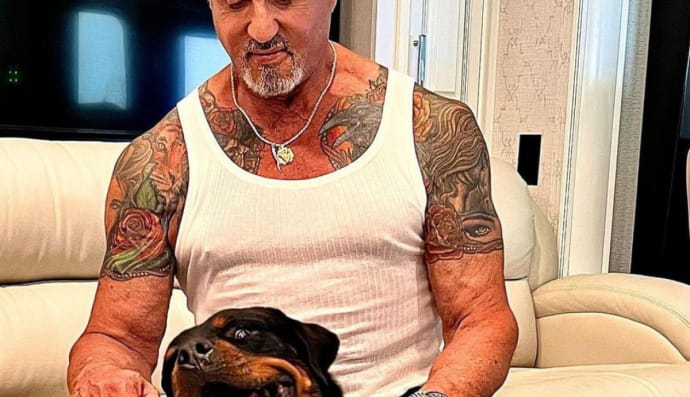 Сильвестр Сталлоне 