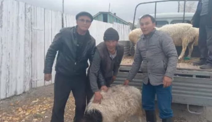 республика Тыва