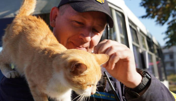 Рятувальник і котик