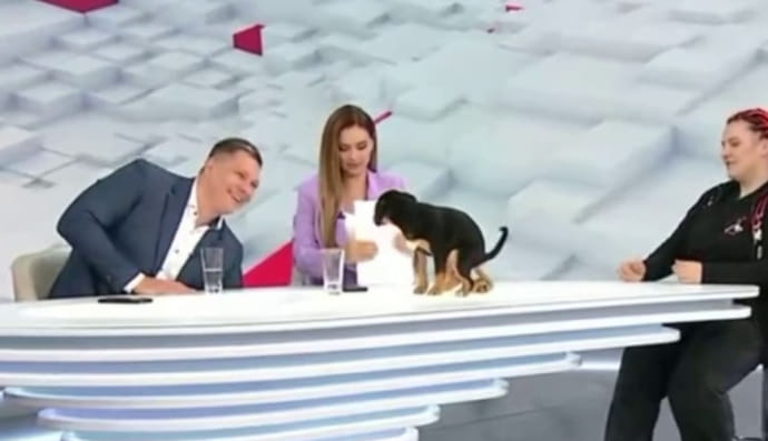 Ефір телемарафону "Єдині новини"