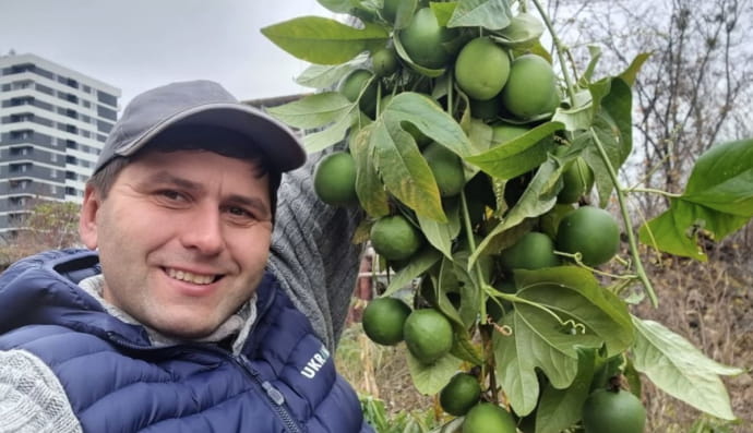 Маракуйя в Харкові