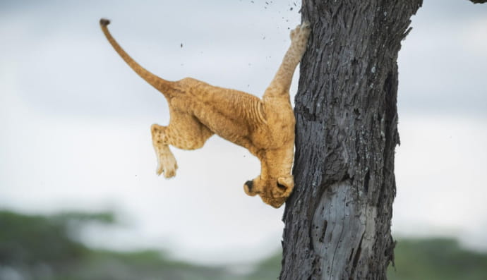 Кумедний знімок