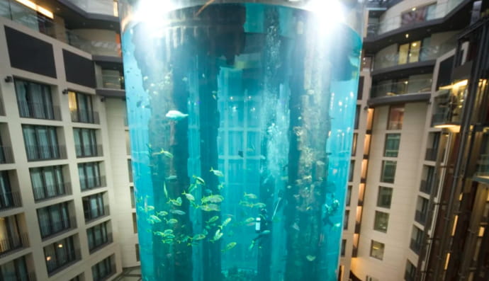В Берлине в отеле лопнул 16-метровый аквариум, в котором находился 1 литр воды