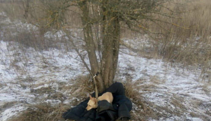 Инцидент в Киевской области