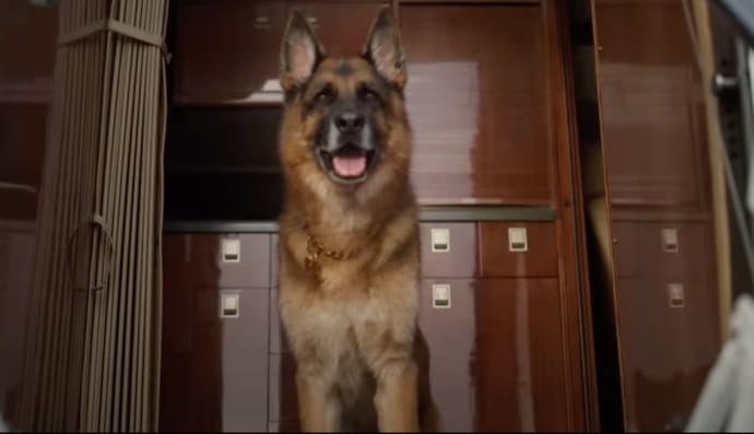 "Миллионы Гюнтера"