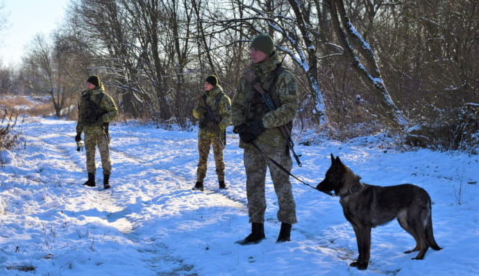 Пошук ухилянта