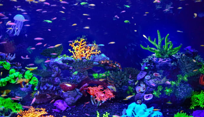 Океанаріум