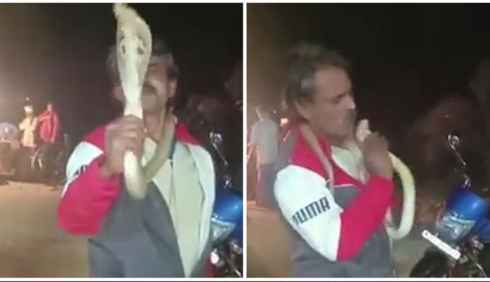 Мужчина и кобра