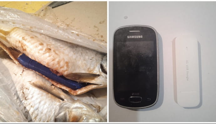 Роутер і смартфон