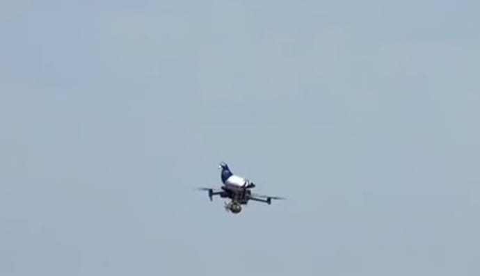 Игрушечный голубь