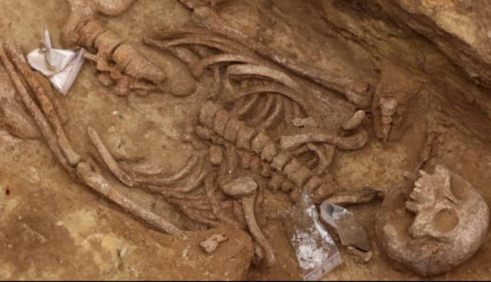 у Парижі біля вокзалу розкопали стародавній цвинтар