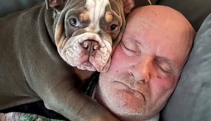 Історія Девіда Ліндсея