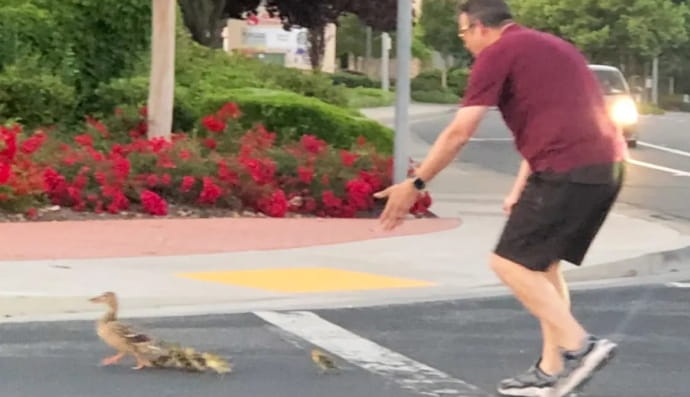 Трагедія у місті Роклін 