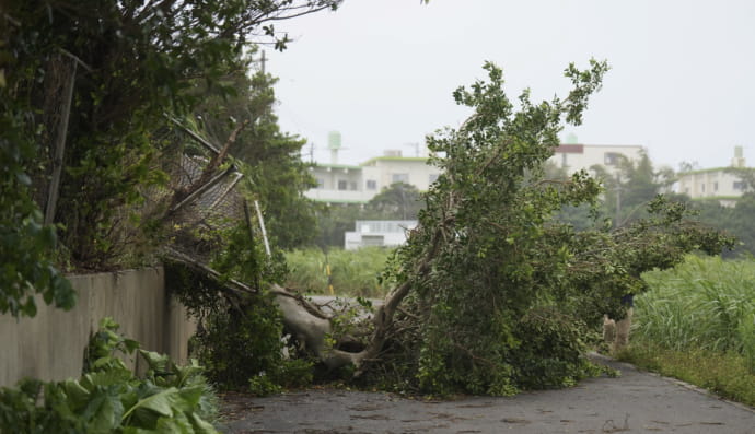 Японию накрыл мощный тайфун