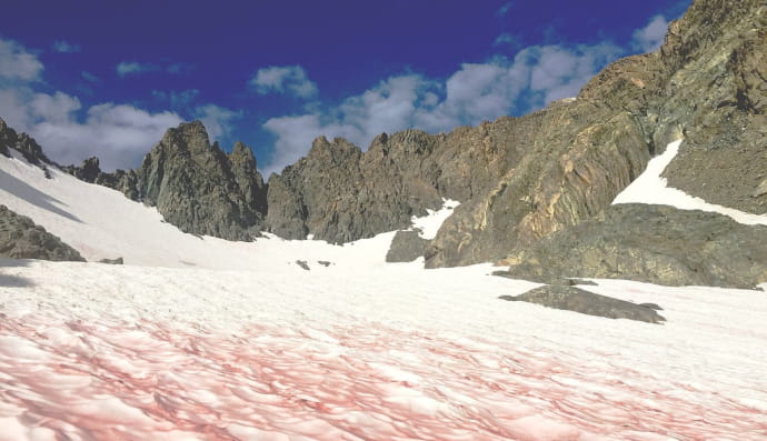 Арбузный снег на горе Риттер в Калифорнии