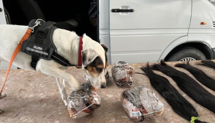 Контрабанда