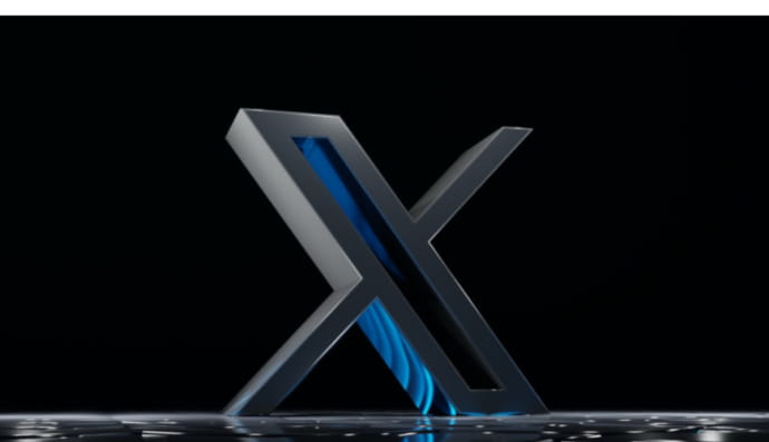 X, социальная сеть Х