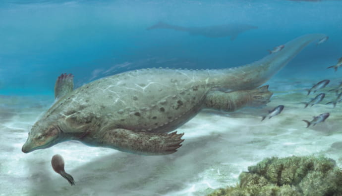 Prosaurosphargis yingzishanensis