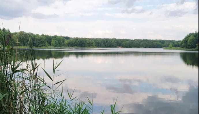 озеро Відро на Київщині