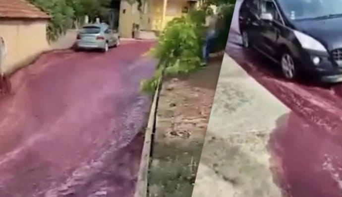 В португальском городе Анадия улицы затопило вином