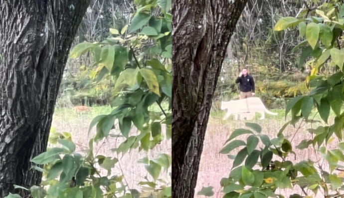 Експеримент з картонними моделями