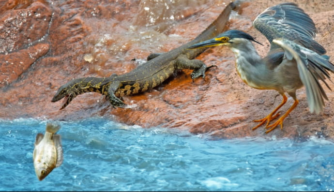 Фото из нацпарка