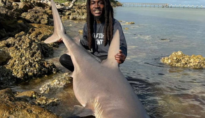 Рыболов и акула 