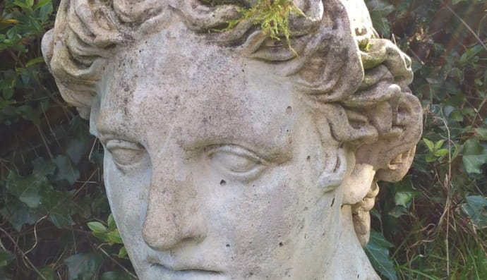 голова Аполлона