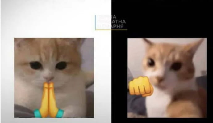 как болельщики реагируют на первую победу украинской сборной на Евро-2024