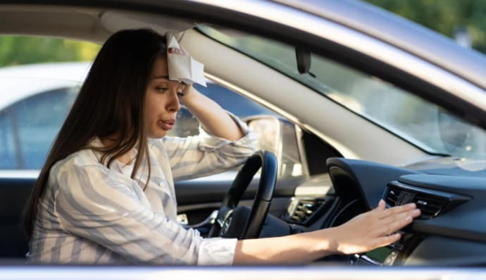 Жара в авто