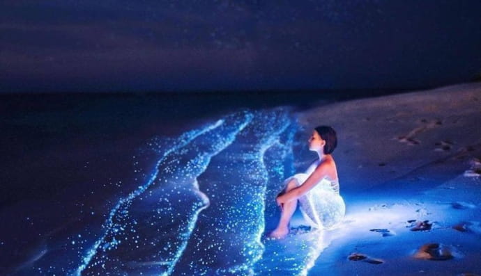 Ваадху, Мальдіви