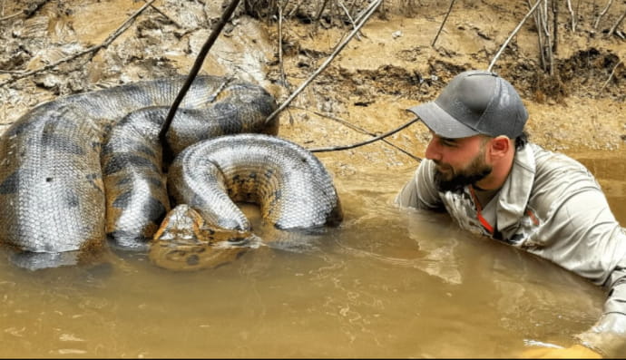 Анаконда та ветеринар