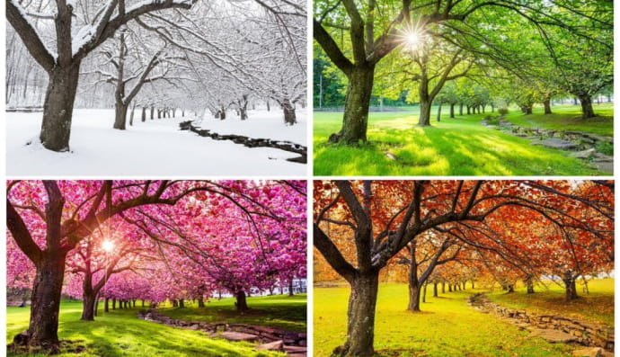 Времена года