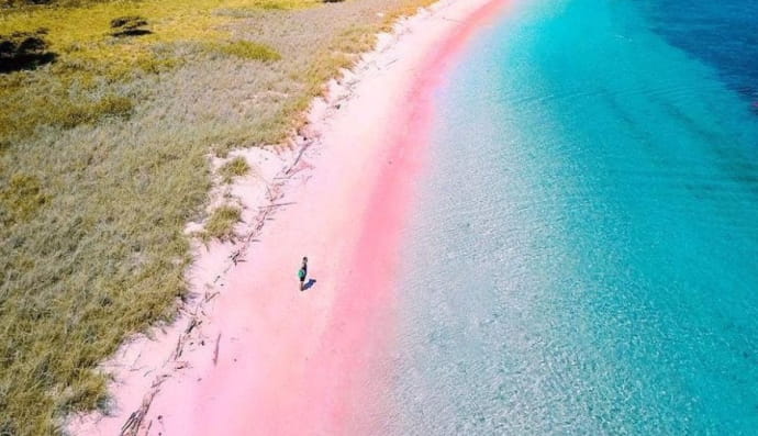 Pink Beach, Komodo Island, Indonesia