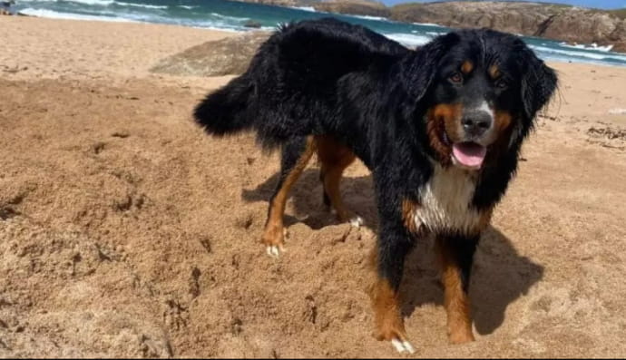 Мали и его история