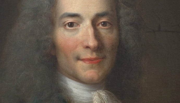 Портрет Вольтера