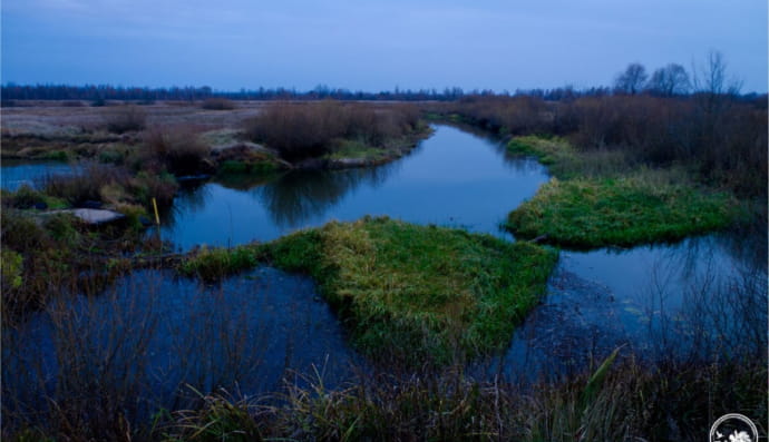 Фото природи